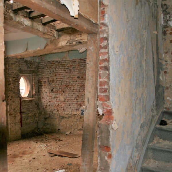 46513337_1813224165466066_3789301602033074176_n